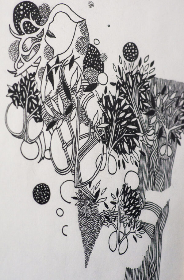 «  La Femme Arbre »